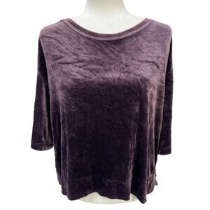 We The Free People Valerie Velour Top Women's Size XS Purple